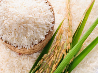 Экспорт риса и рисовой крупы временно запрещен